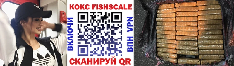 Cocaine Fish Scale  omg ONION  Межгорье 