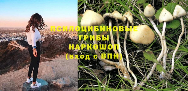 прущий лед Надым