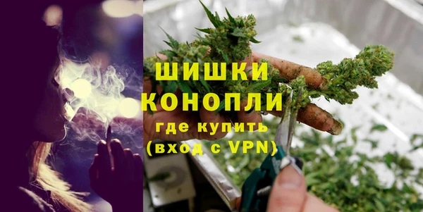 шишки Михайлов