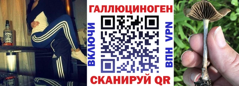 гидра   Межгорье  Галлюциногенные грибы мицелий 